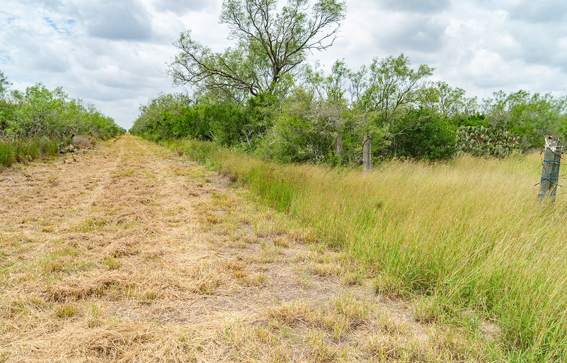 Cielito Ranch 140 Acre Ranch For Sale In Duval County Image 15