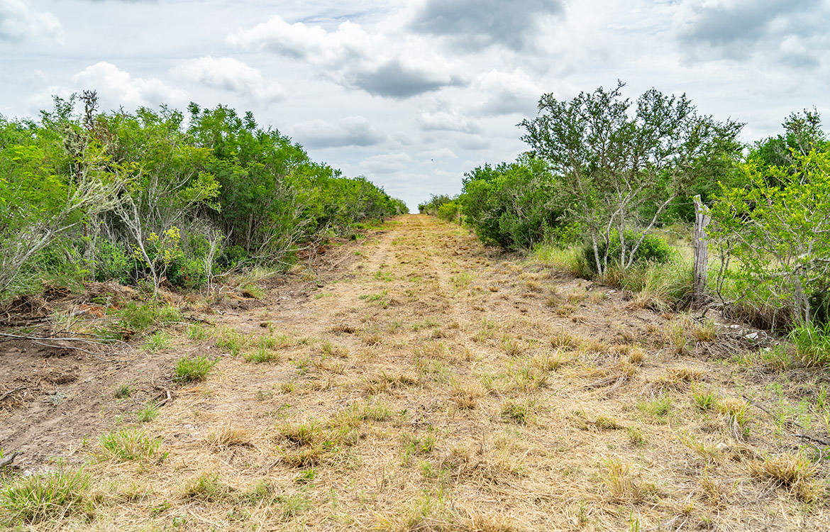 Cielito Ranch 140 Acre Ranch For Sale In Duval County Image 16