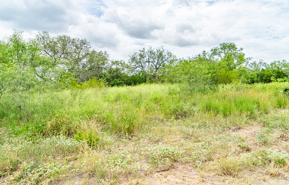 Cielito Ranch 140 Acre Ranch For Sale In Duval County Image 17