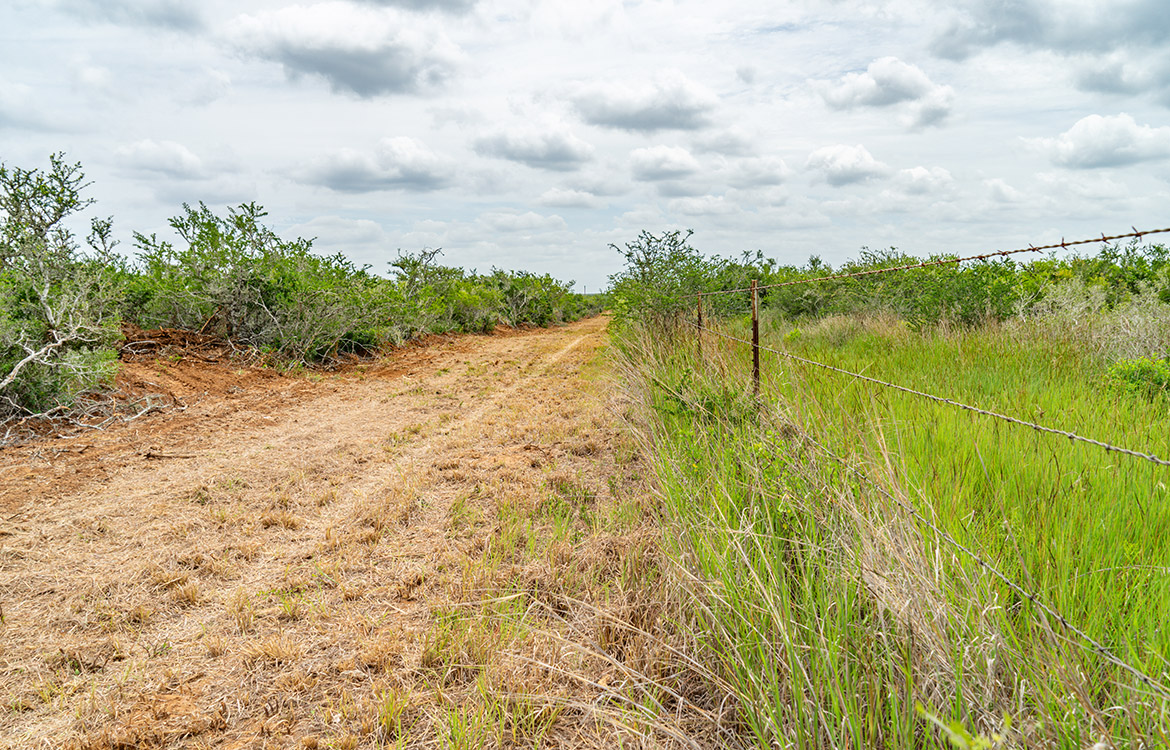 Cielito Ranch 140 Acre Ranch For Sale In Duval County Image 18