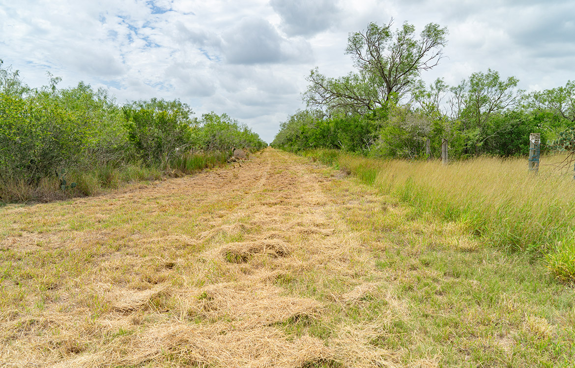 Cielito Ranch 140 Acre Ranch For Sale In Duval County Image 2