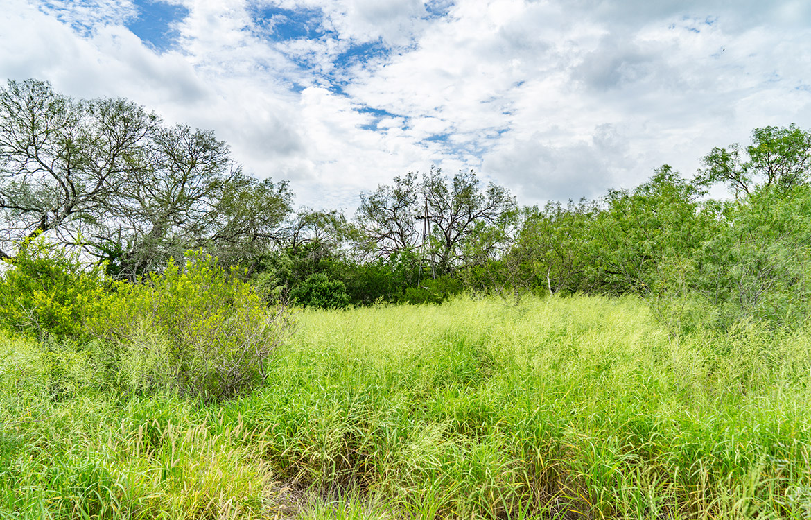 Cielito Ranch 140 Acre Ranch For Sale In Duval County Image 3
