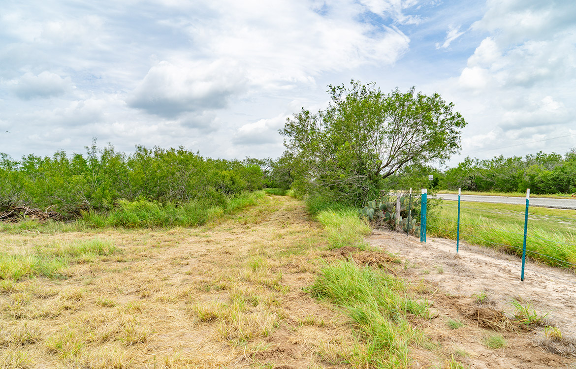 Cielito Ranch 140 Acre Ranch For Sale In Duval County Image 6