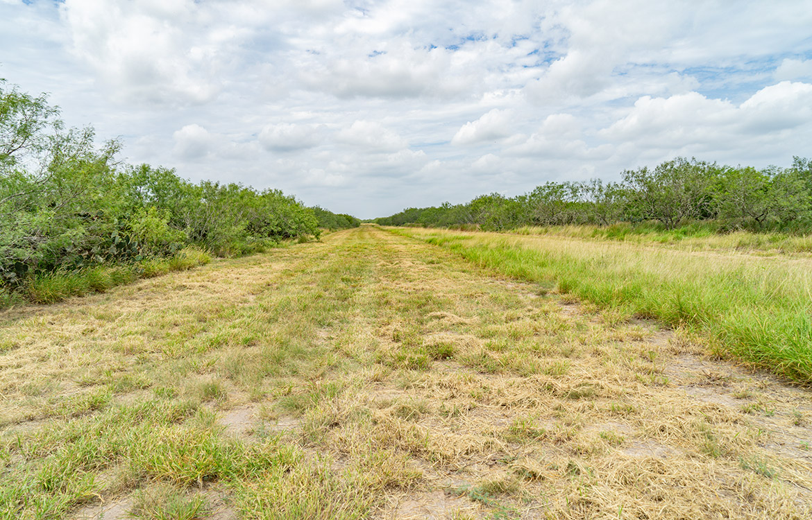 Cielito Ranch 140 Acre Ranch For Sale In Duval County Image 8