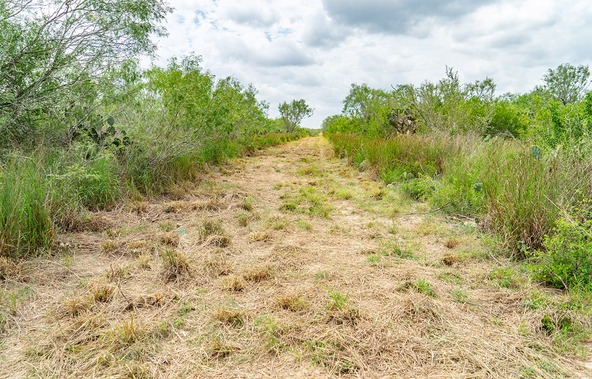 Cielito Ranch 140 Acre Ranch For Sale In Duval County Image 9