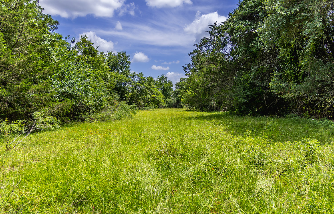 Maly’ Praha Ranch 26 Acre Ranch For Sale In Fayette County Image 1