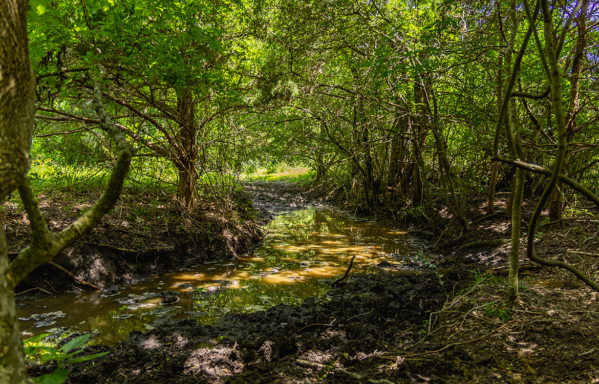 Maly’ Praha Ranch 26 Acre Ranch For Sale In Fayette County Image 2