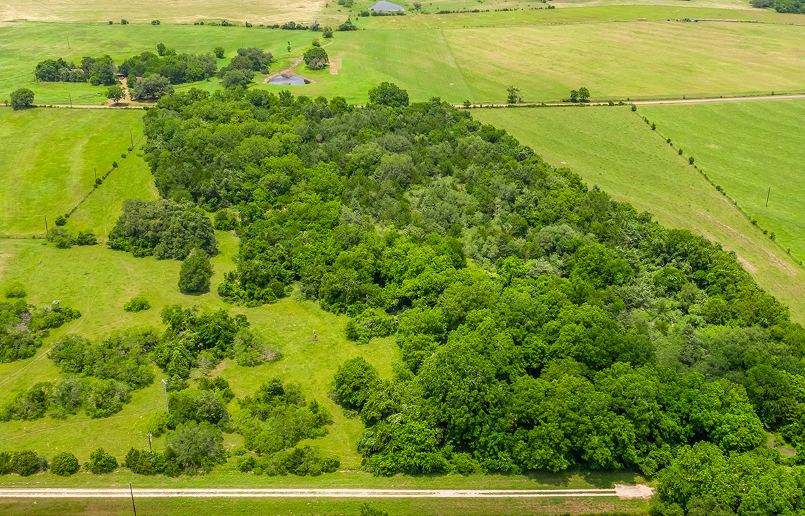 Maly’ Praha Ranch 26 Acre Ranch For Sale In Fayette County Image 20