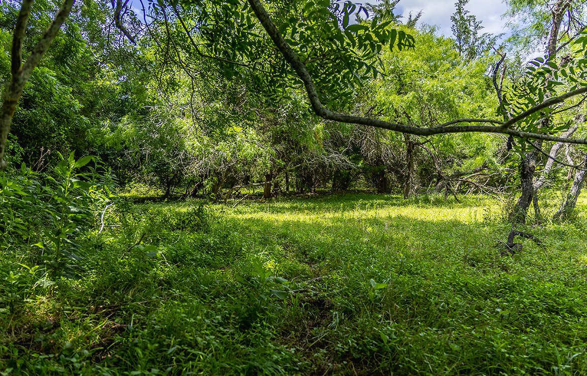 Maly’ Praha Ranch 26 Acre Ranch For Sale In Fayette County Image 5