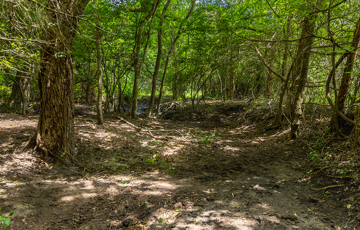 Maly’ Praha Ranch 26 Acre Ranch For Sale In Fayette County Image 6