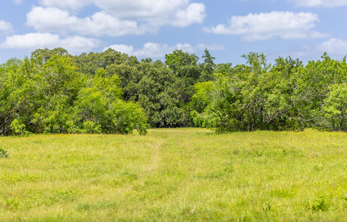 Maly’ Praha Ranch 26 Acre Ranch For Sale In Fayette County Image 7