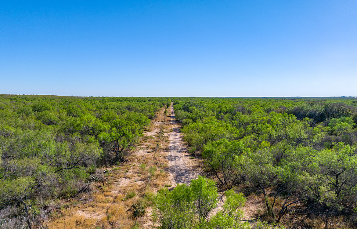 Bigfoot Ranch 1161 Acre Ranch For Sale In Frio County Image 19