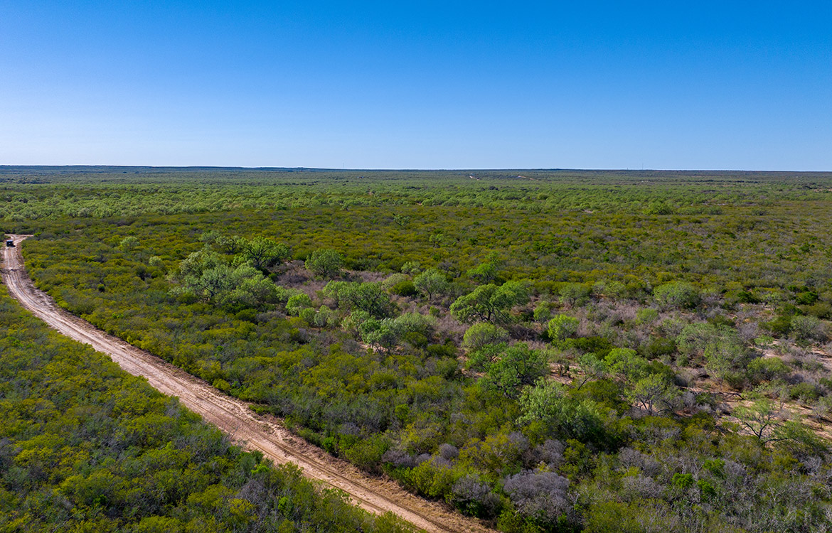 Bigfoot Ranch 1161 Acre Ranch For Sale In Frio County Image 20