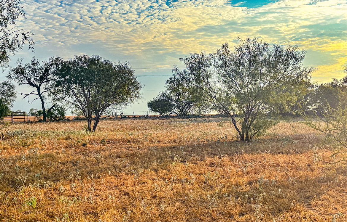 RM Ranchette 14 Acre Ranch For Sale In Frio County Image 10