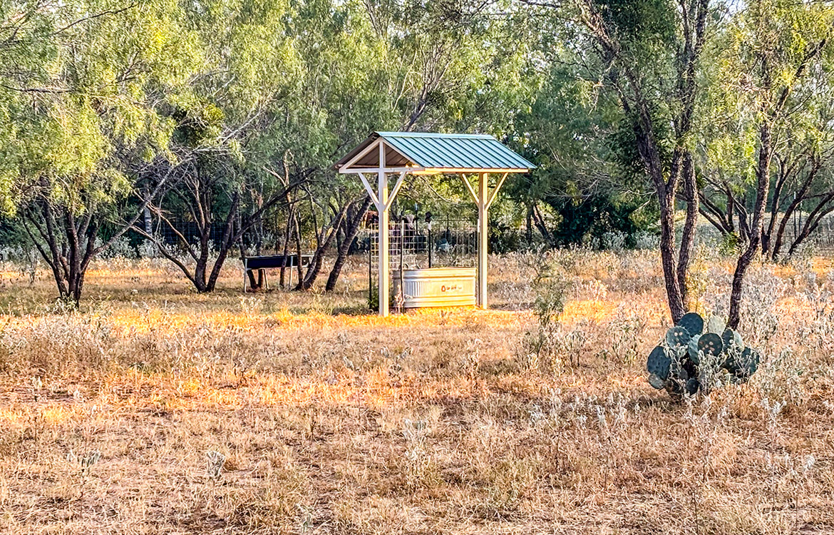 RM Ranchette 14 Acre Ranch For Sale In Frio County Image 12