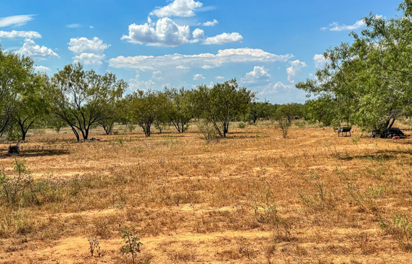 RM Ranchette 14 Acre Ranch For Sale In Frio County Image 14