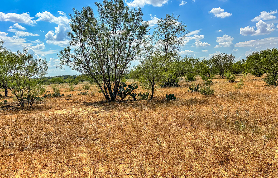 RM Ranchette 14 Acre Ranch For Sale In Frio County Image 15