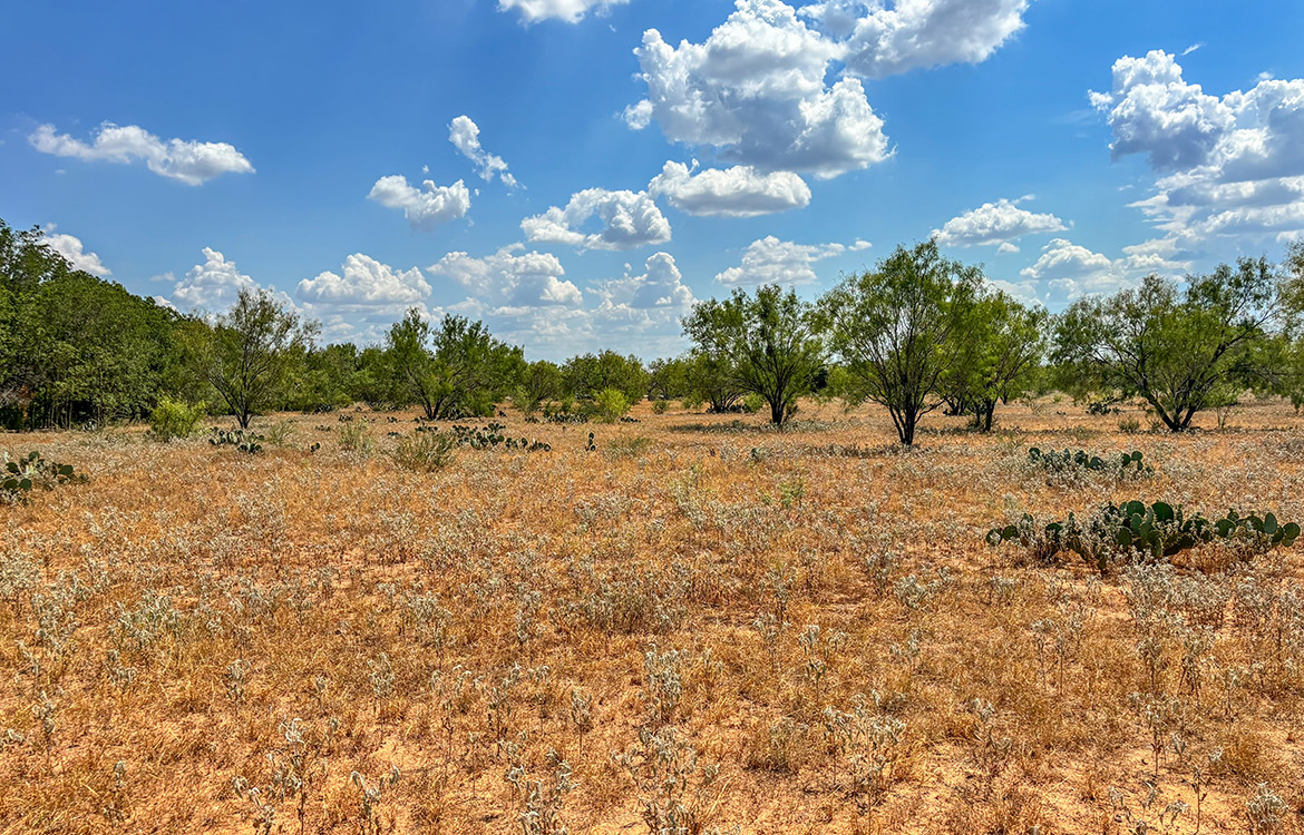 RM Ranchette 14 Acre Ranch For Sale In Frio County Image 16