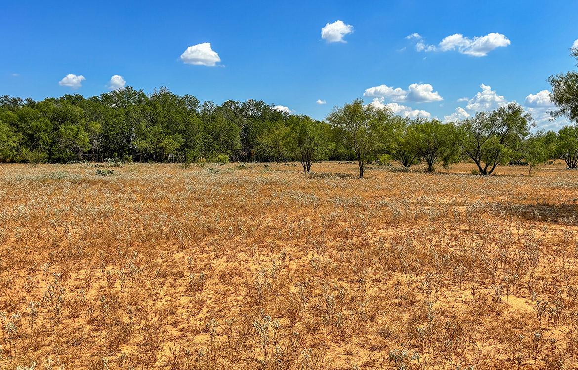 RM Ranchette 14 Acre Ranch For Sale In Frio County Image 17