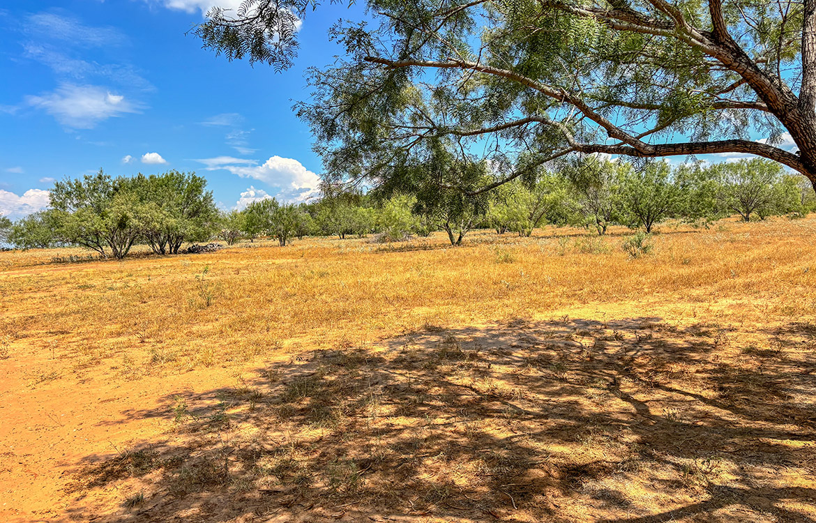 RM Ranchette 14 Acre Ranch For Sale In Frio County Image 19