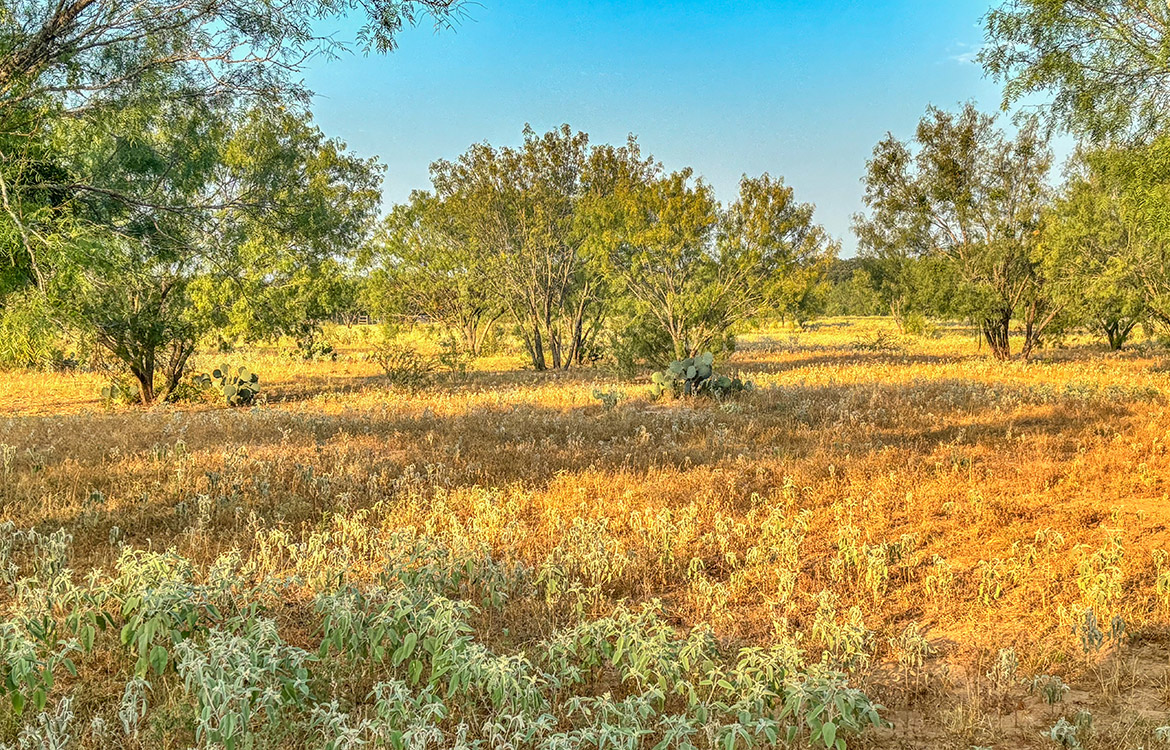 RM Ranchette 14 Acre Ranch For Sale In Frio County Image 2