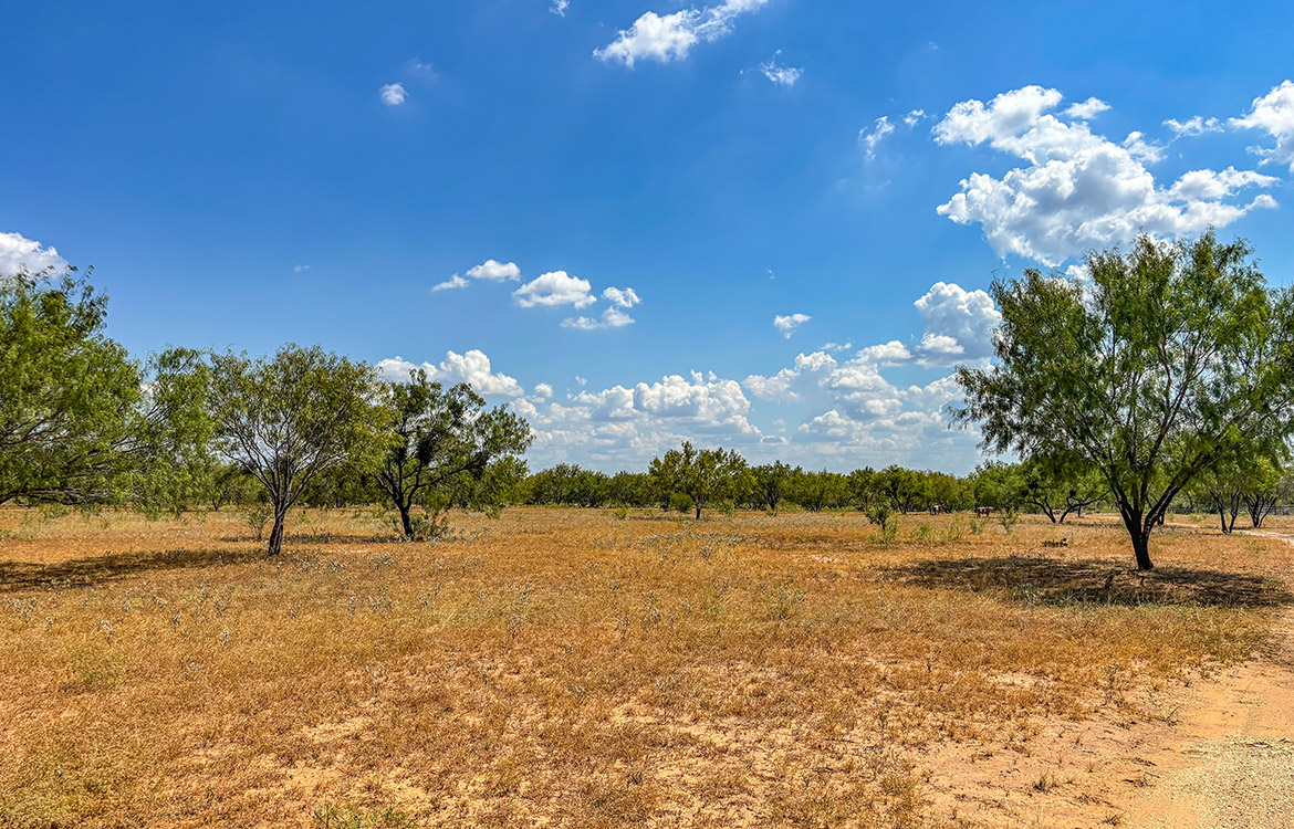 RM Ranchette 14 Acre Ranch For Sale In Frio County Image 20