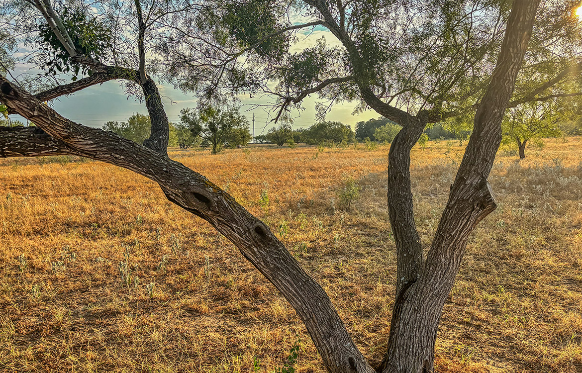 RM Ranchette 14 Acre Ranch For Sale In Frio County Image 8
