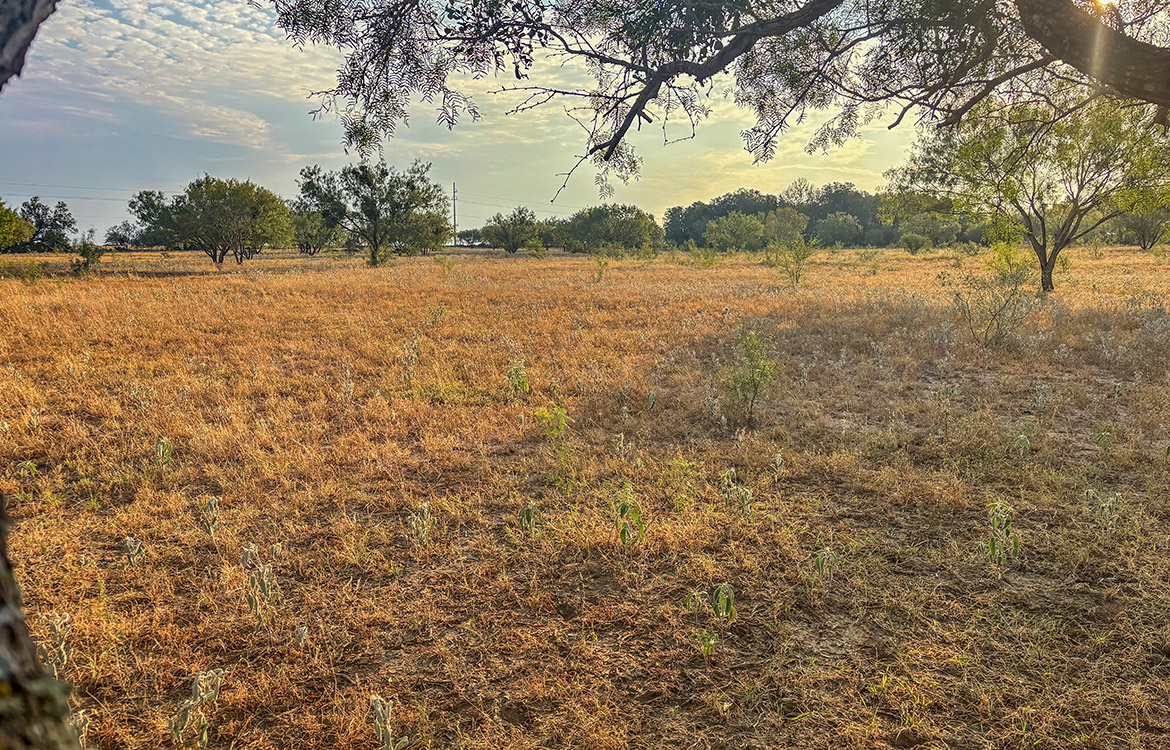 RM Ranchette 14 Acre Ranch For Sale In Frio County Image 9