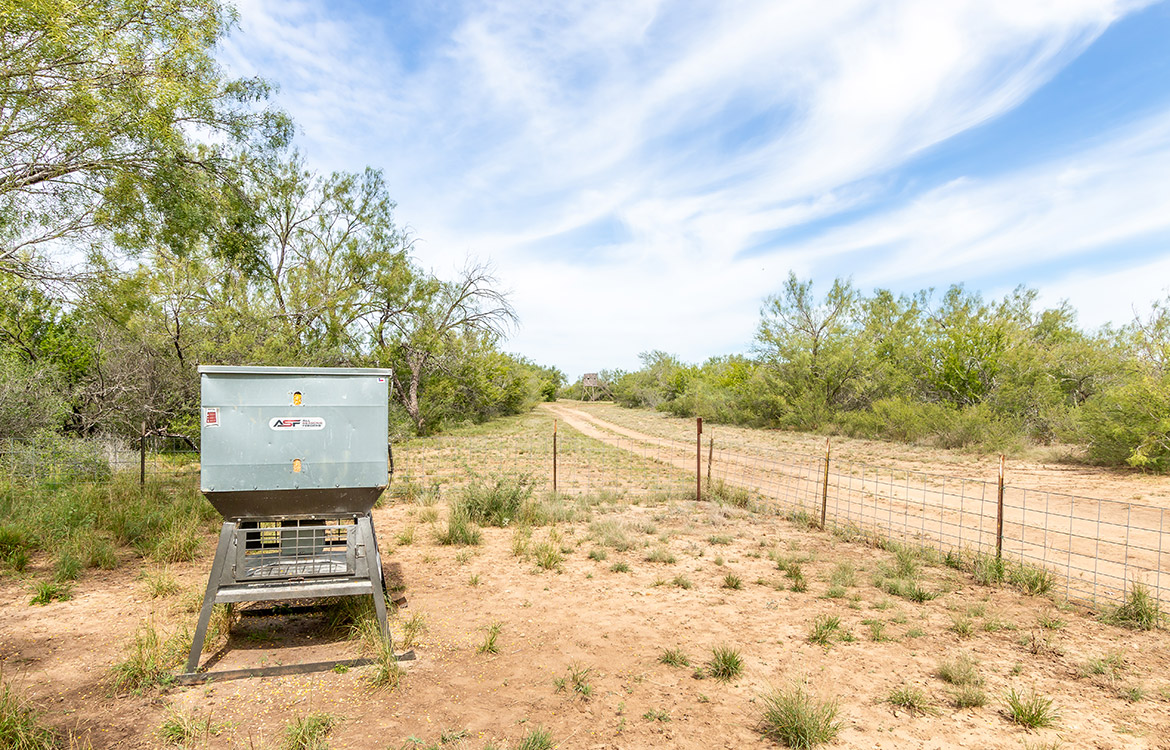 Elm Creek Ranch, 423 acre ranch for sale in Frio County, Image 10