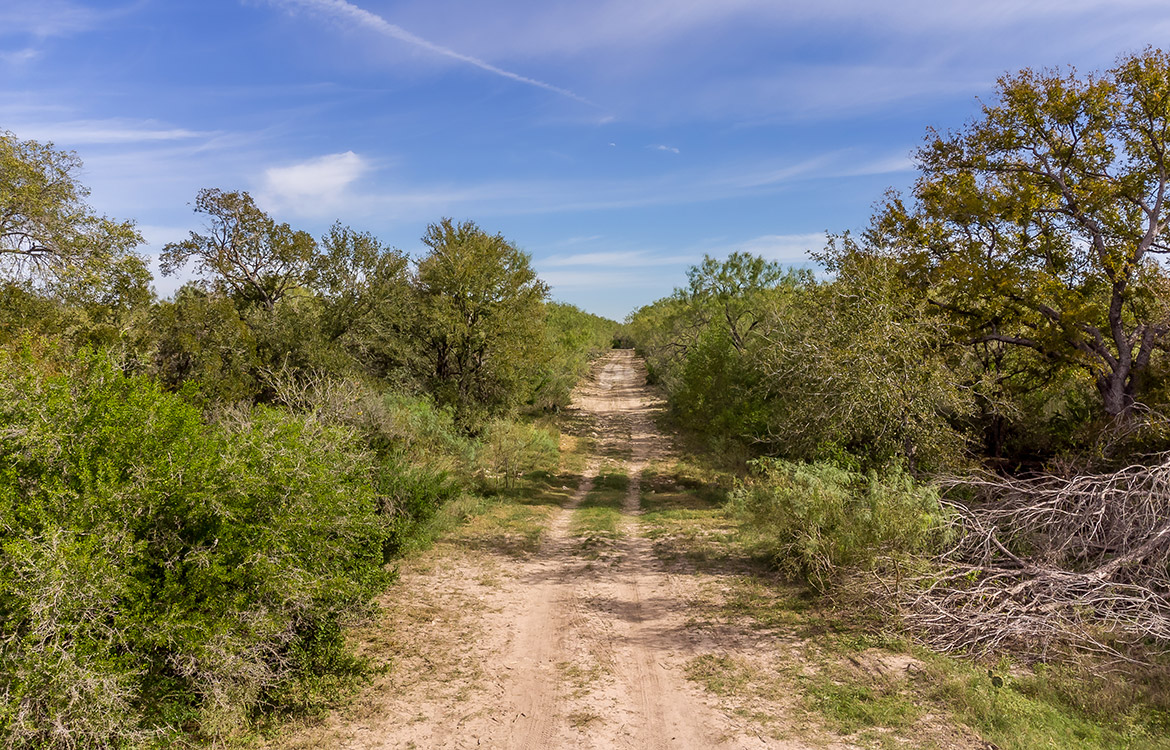 Elm Creek Ranch, 423 acre ranch for sale in Frio County, Image 12
