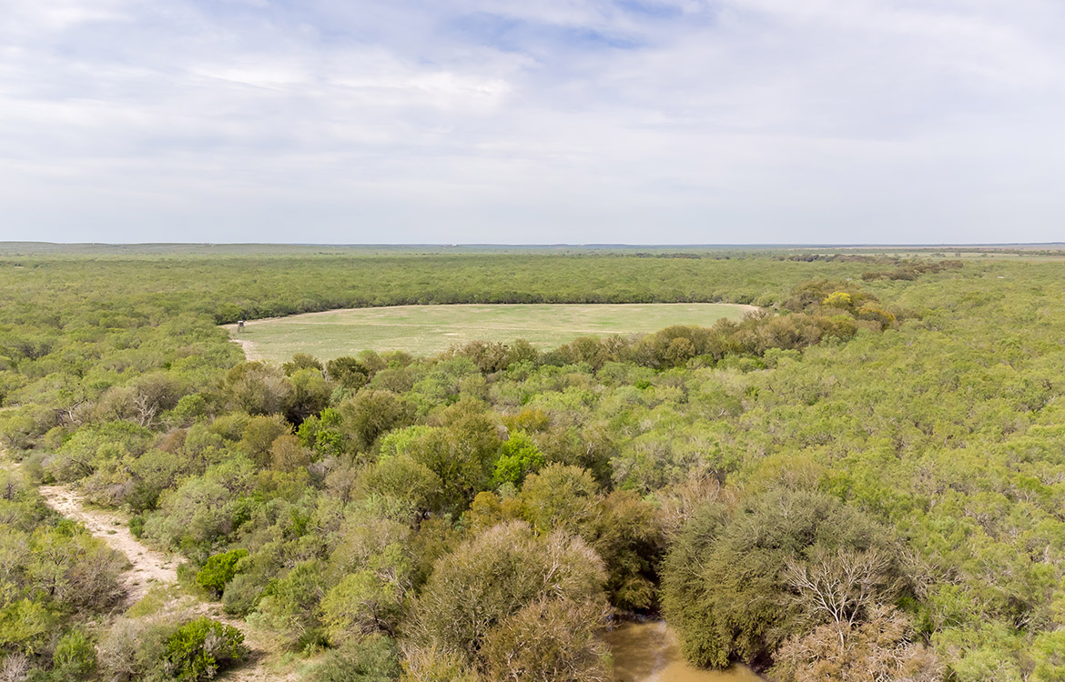 Elm Creek Ranch, 423 acre ranch for sale in Frio County, Image 16