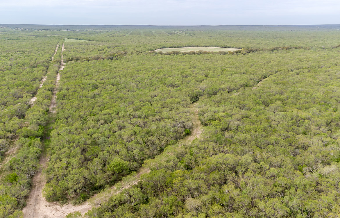 Elm Creek Ranch, 423 acre ranch for sale in Frio County, Image 17