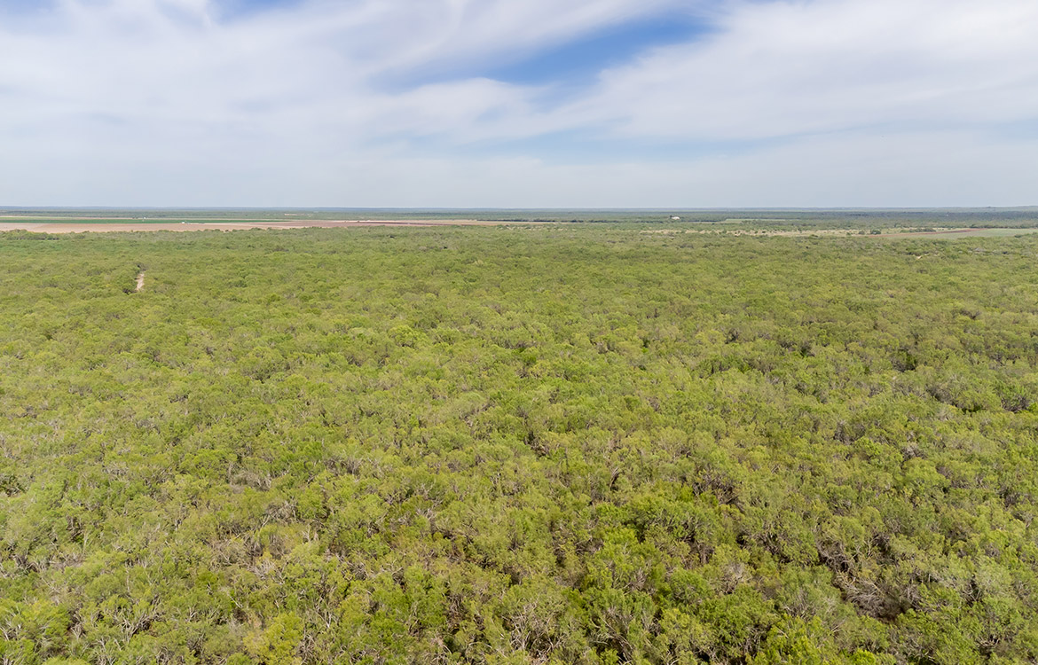 Elm Creek Ranch, 423 acre ranch for sale in Frio County, Image 18
