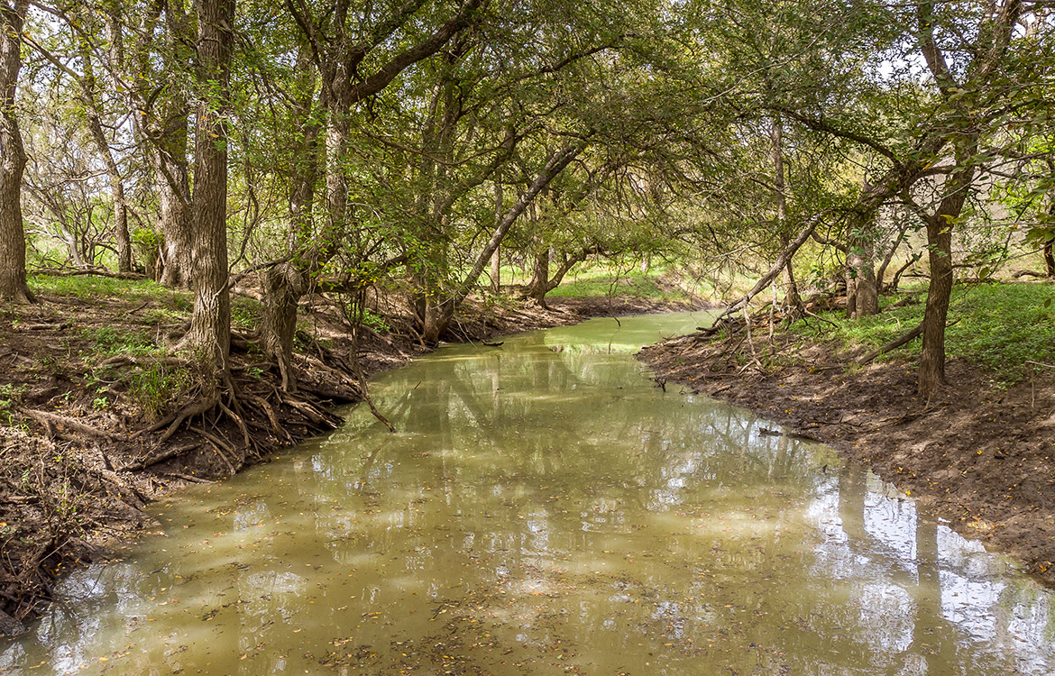 Elm Creek Ranch, 423 acre ranch for sale in Frio County, Image 2