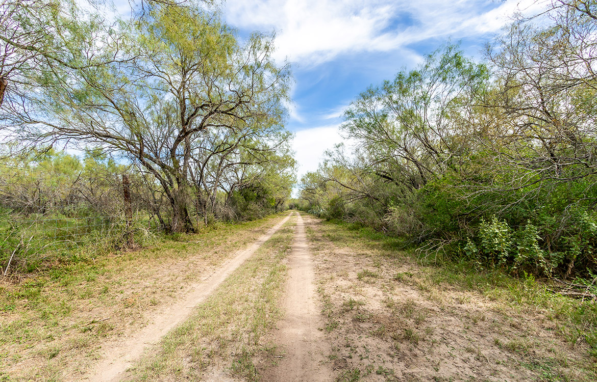 Elm Creek Ranch, 423 acre ranch for sale in Frio County, Image 3