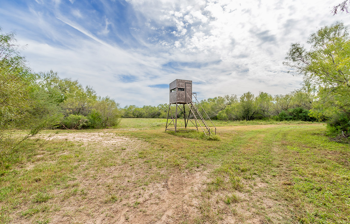 Elm Creek Ranch, 423 acre ranch for sale in Frio County, Image 4