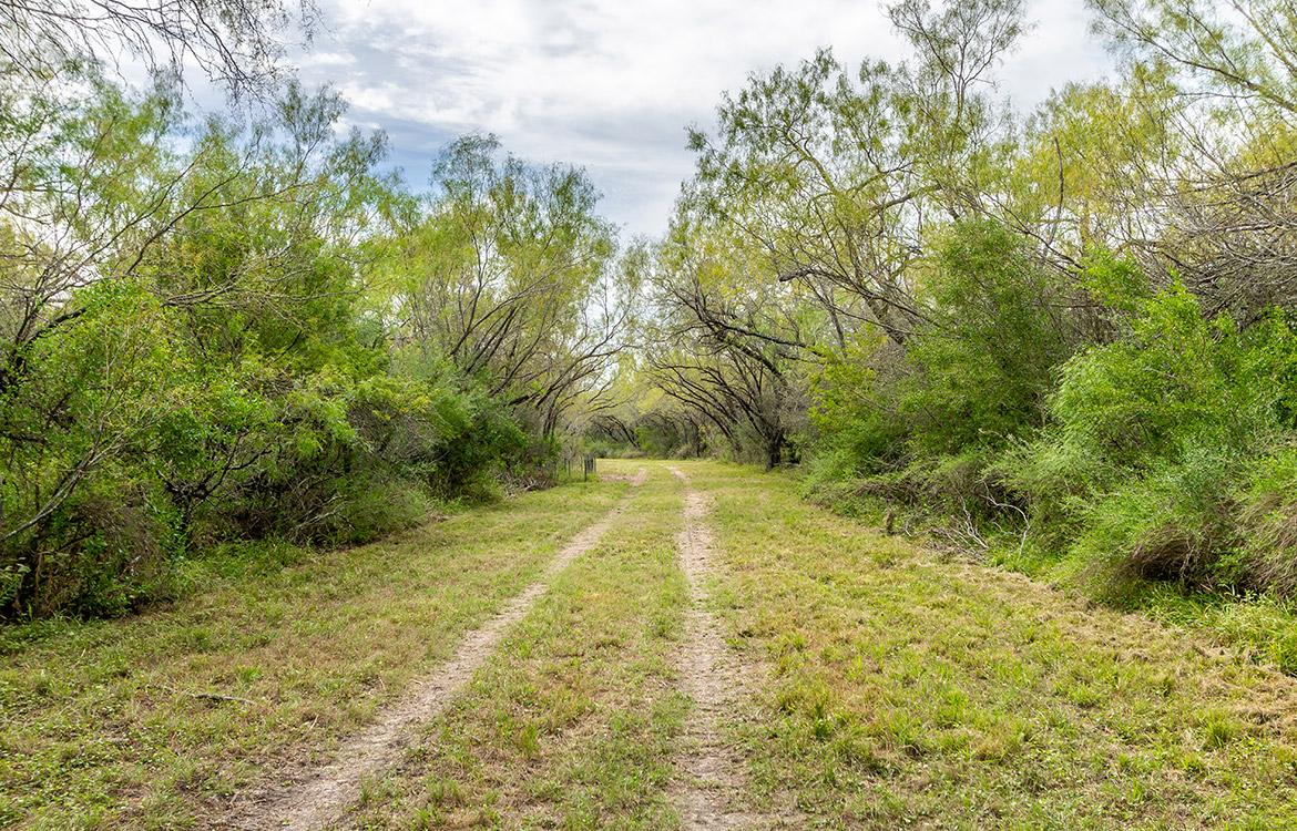 Elm Creek Ranch, 423 acre ranch for sale in Frio County, Image 5