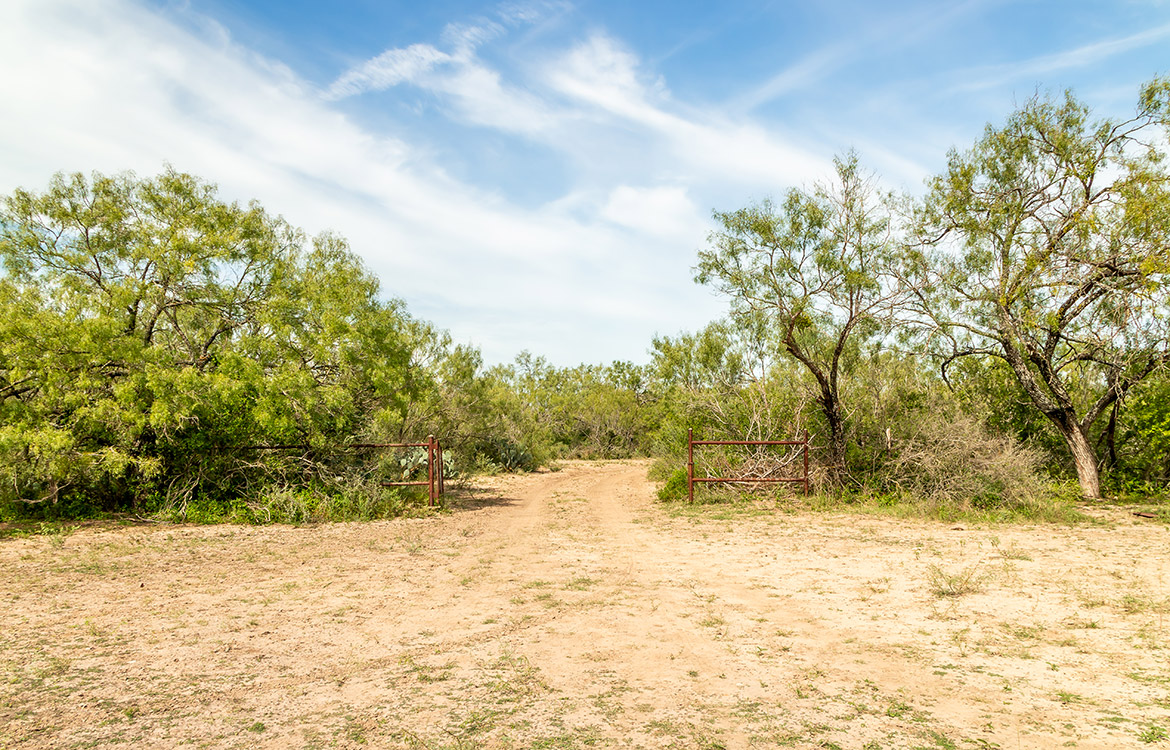 Elm Creek Ranch, 423 acre ranch for sale in Frio County, Image 6