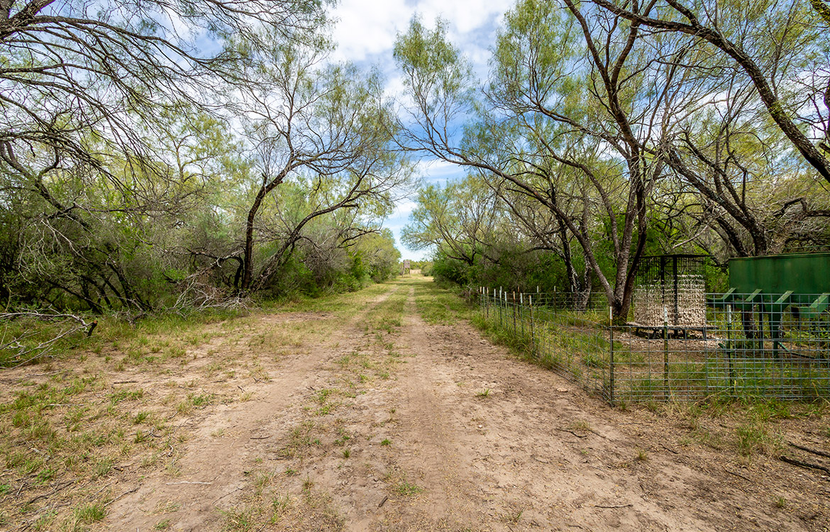 Elm Creek Ranch, 423 acre ranch for sale in Frio County, Image 9