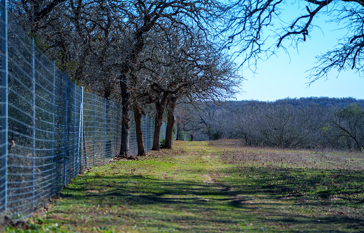 Twenty Divide Ranch 240 Acre Ranch For Sale In Gonzales County Image 19