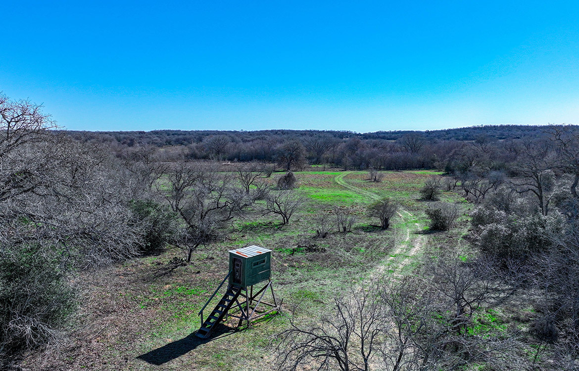 Twenty Divide Ranch 240 Acre Ranch For Sale In Gonzales County Image 20