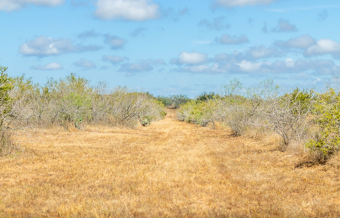Shady Side Ranch 948 Acre Ranch For Sale In Jim Hogg County Image 11