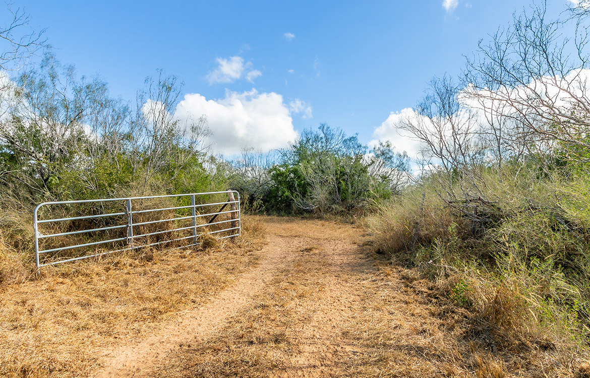 Shady Side Ranch 948 Acre Ranch For Sale In Jim Hogg County Image 13