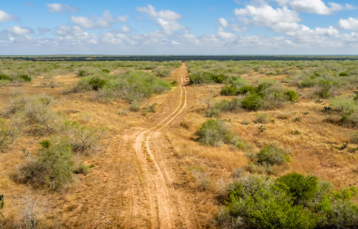 Shady Side Ranch 948 Acre Ranch For Sale In Jim Hogg County Image 17