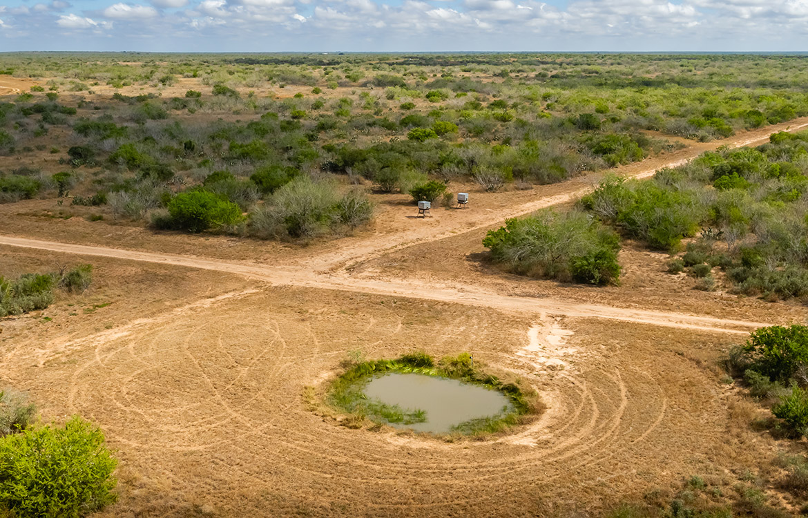 Shady Side Ranch 948 Acre Ranch For Sale In Jim Hogg County Image 18