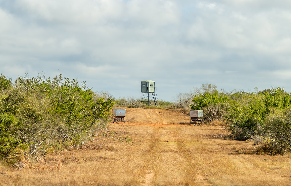 Shady Side Ranch 948 Acre Ranch For Sale In Jim Hogg County Image 8