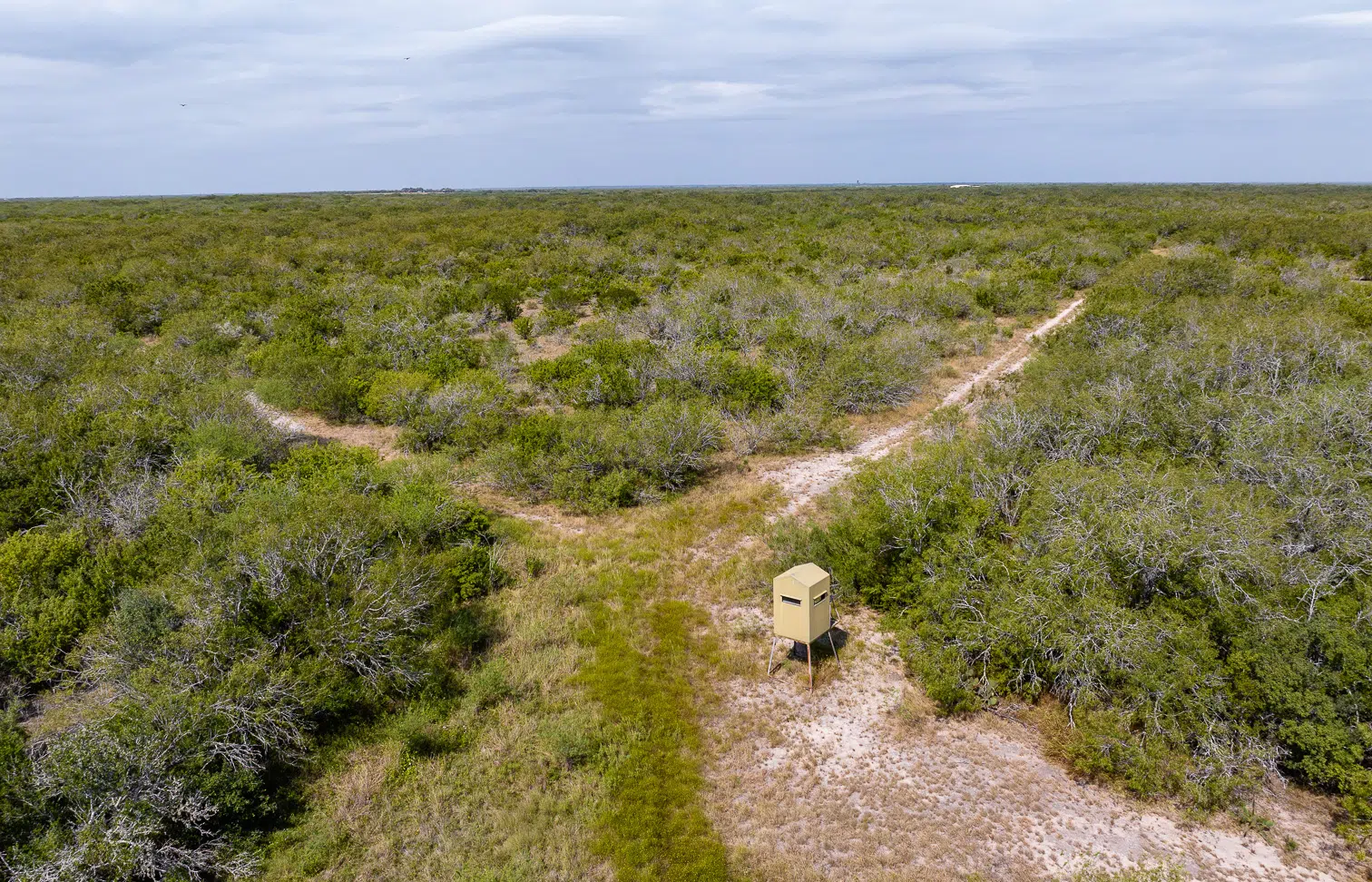 Pequin Creek Ranch 300 Acre Hunting Ranch For Sale in Jim Wells County Image 14