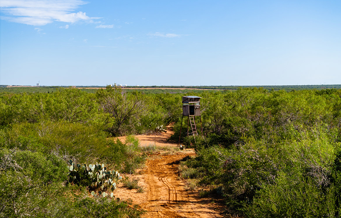 Van Winkle Ranch 200 Acre Ranch For Sale In La Salle County