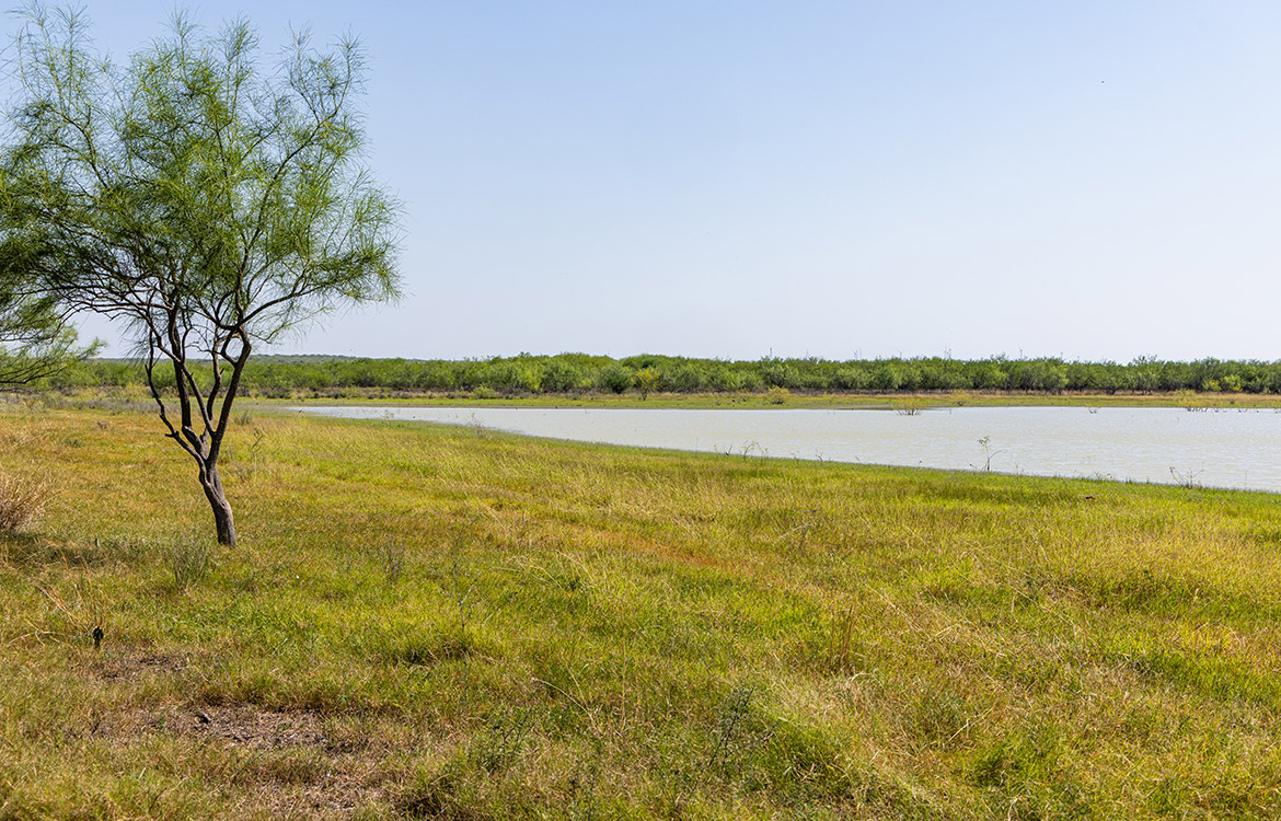 Ship Ranch 1198 Acre Ranch For Sale In Webb County Image 12