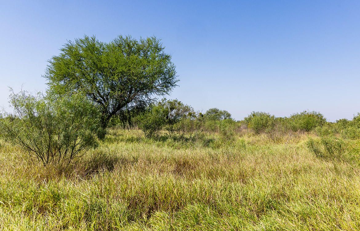 Ship Ranch 1198 Acre Ranch For Sale In Webb County Image 13